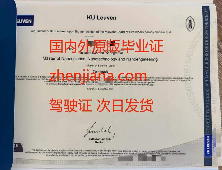 办南丹麦大学毕业证