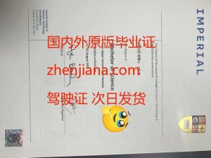 办奥尔堡大学毕业证 Obtain an Aalborg University degree certificate.