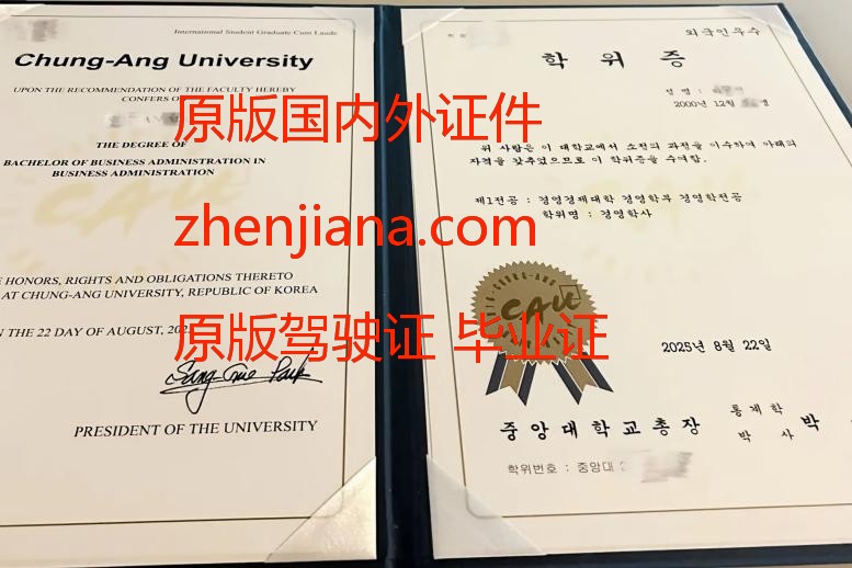 办延世大学毕业证