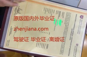 办忠北国立大学毕业证