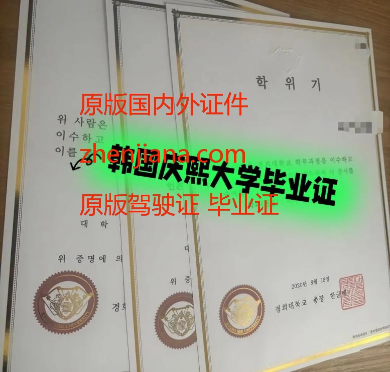 办忠南国立大学毕业证
