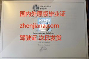 办莱顿大学毕业证 Obtain a Leiden University diploma