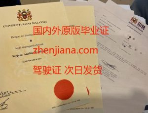 办阿姆斯特丹自由大学毕业证